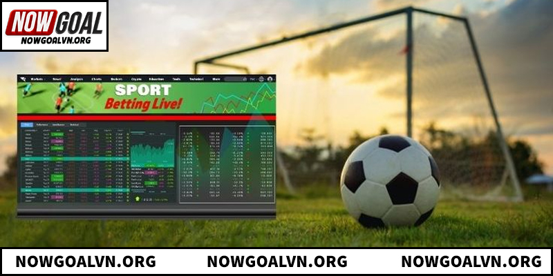 Khám phá chuyên mục lịch bóng đá